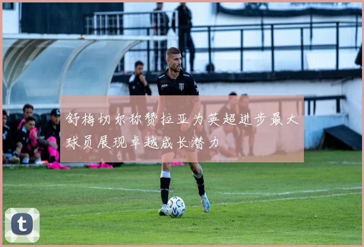 舒梅切尔称赞拉亚为英超进步最大球员展现卓越成长潜力