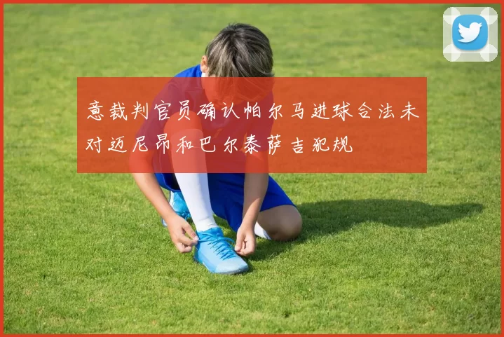 意裁判官员确认帕尔马进球合法未对迈尼昂和巴尔泰萨吉犯规